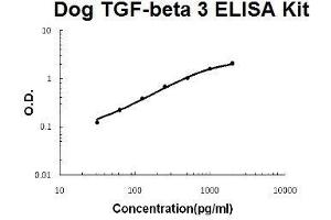 Dog TGF-beta 3 PicoKine ELISA Kit standard curve (TGFB3 ELISA 试剂盒)