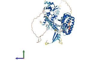 Protein Structure (PS) image for Polymerase (RNA) III (DNA Directed) Polypeptide E (80kD) (POLR3E) (AA 1-708) protein (His tag) (ABIN7555252)