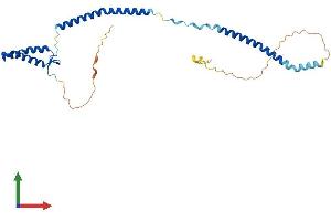 AlphaFold protein structure predicition of Mouse Recombinant Nsl1 Protein, UniprotID Q8K305