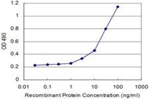 Detection limit for recombinant GST tagged RHOA is 3 ng/ml as a capture antibody. (RHOA 抗体  (AA 1-193))
