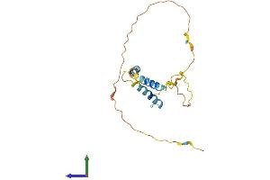 Protein Structure (PS) image for BCL2-Like 11 (Apoptosis Facilitator) (BCL2L11) (AA 1-196) protein (His tag) (ABIN7562445)