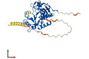 Protein Structure (PS) image for ST6 (Alpha-N-Acetyl-Neuraminyl-2,3-beta-Galactosyl-1,3)-N-Acetylgalactosaminide alpha-2,6-Sialyltransferase 5 (ST6GALNAC5) (AA 1-336) protein (His tag) (ABIN7546095)