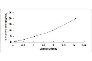 Typical standard curve (ACTN2 ELISA 试剂盒)