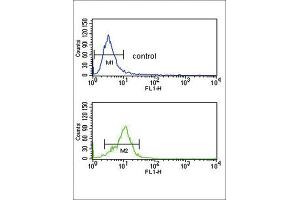 Flow Cytometry (FACS) image for anti-Corticotropin Releasing Hormone Receptor 2 (CRHR2) antibody (ABIN3002798) (CRHR2 抗体)