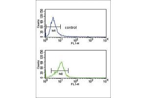 Flow Cytometry (FACS) image for anti-Corticotropin Releasing Hormone Receptor 2 (CRHR2) antibody (ABIN3002798)