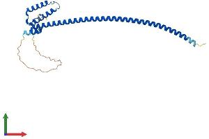 AlphaFold protein structure predicition of Human Recombinant DNALI1 Protein, UniprotID O14645
