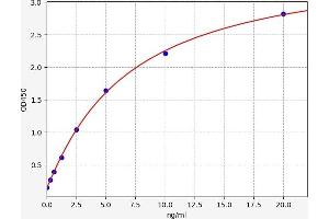 Typical standard curve (LRP11 ELISA 试剂盒)