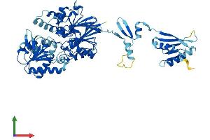Protein Structure (PS) image for Cleavage and Polyadenylation Specific Factor 3-Like (CPSF3L) (AA 1-600) protein (His tag) (ABIN7560682)