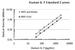 Biotin monoclonal antibody, clone SB58c (HRP) is one of the alternatives for increasing Biotin antibody detection sensitivity. (Biotin 抗体  (HRP))