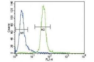 MUSK antibody flow cytometric analysis of CEM cells (right histogram) compared to a negative control cell (left histogram). (MUSK 抗体  (AA 35-65))