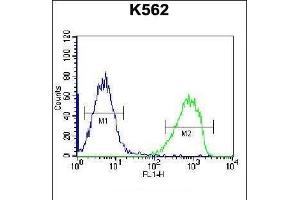 SPINK8 Antibody (C-term) (ABIN656529 and ABIN2845794) flow cytometric analysis of K562 cells (right histogram) compared to a negative control cell (left histogram). (SPINK8 抗体  (C-Term))