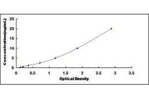 Typical standard curve (ERLIN1 ELISA 试剂盒)