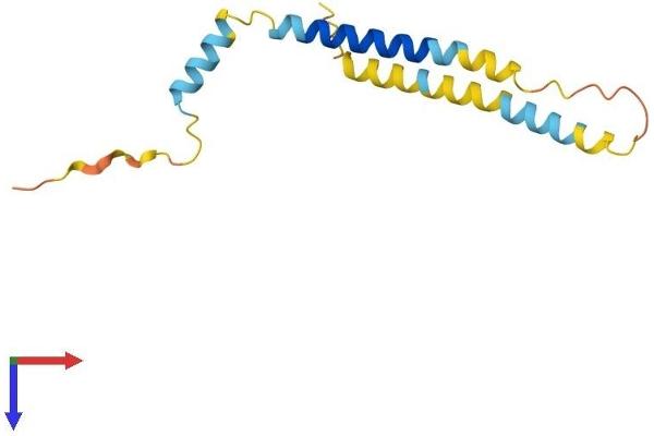 SLC51B Protein (AA 1-128) (His tag)