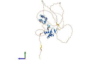 Protein Structure (PS) image for Paired Box 8 (PAX8) (AA 1-450) protein (His tag) (ABIN7550662)