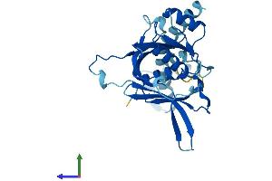 AlphaFold protein structure predicition of Mouse Recombinant Imp4 Protein, UniprotID Q8VHZ7