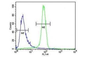 Anti-EGFR antibody flow cytometric analysis of K562 cells (right histogram) compared to a negative control cell (left histogram). (EGFR 抗体  (AA 1004-1033))