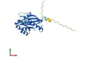 Protein Structure (PS) image for RAB4A, Member RAS Oncogene Family (RAB4A) (AA 1-218) protein (His tag) (ABIN7551157)