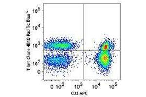 Flow Cytometry (FACS) image for anti-T-Bet antibody (Pacific Blue) (ABIN2662108) (T-Bet 抗体  (Pacific Blue))