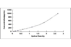 Typical standard curve (CELA1 ELISA 试剂盒)