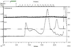 L1RE1 (AA 1 - 338), gel filtration, Superose 6 fraction 13 - 14