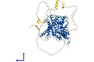 Protein Structure (PS) image for YME1-Like 1 (YME1L1) (AA 1-773) protein (His tag) (ABIN7556074)