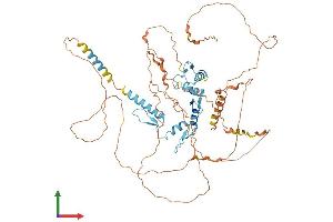 AlphaFold protein structure predicition of Human Recombinant GLIS1 Protein, UniprotID Q8NBF1