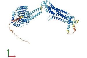 AlphaFold protein structure predicition of Mouse Recombinant Mx2 Protein, UniprotID Q9WVP9