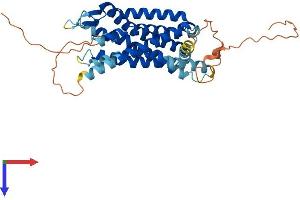 AlphaFold protein structure predicition of Human Recombinant SSTR4 Protein, UniprotID P31391