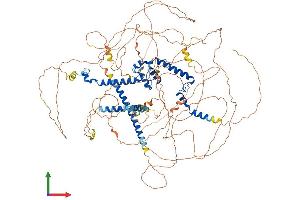 AlphaFold protein structure predicition of Human Recombinant MRTFB Protein, UniprotID Q9ULH7