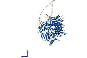 Protein Structure (PS) image for Dipeptidyl-Peptidase 6 (DPP6) (AA 1-865) protein (His tag) (ABIN7553741)