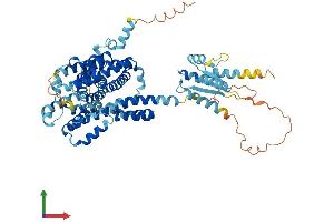Protein Structure (PS) image for Solute Carrier Family 26 (Sulfate Transporter), Member 7 (SLC26A7) (AA 1-656) protein (His tag) (ABIN7564694)