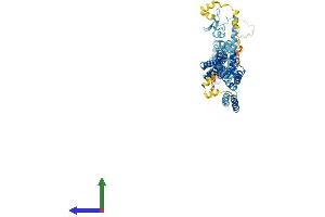 AlphaFold protein structure predicition of Human Recombinant DCST1 Protein, UniprotID Q5T197 (DCST1 Protein (AA 1-706) (His tag))