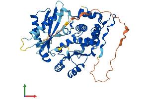 Protein Structure (PS) image for 2',5'-Oligoadenylate Synthetase 1, 40/46kDa (OAS1) (AA 1-400) protein (His tag) (ABIN7554812)