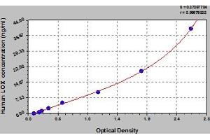 Typical Standard Curve (LOX ELISA 试剂盒)