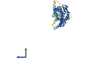 Protein Structure (PS) image for Chemokine (C-C Motif) Receptor 4 (CCR4) (AA 1-360) protein (His tag) (ABIN7553264)