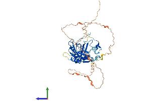 Protein Structure (PS) image for Chromosome 9 Open Reading Frame 156 (C9orf156) (AA 1-431) protein (His tag) (ABIN7557413)