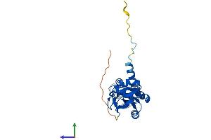 Protein Structure (PS) image for mRNA Turnover 4 Homolog (MRTO4) (AA 1-239) protein (His tag) (ABIN7560836)