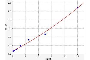 Typical standard curve (SCUBE3 ELISA 试剂盒)
