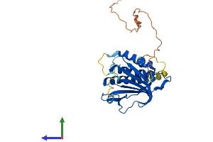 Protein Structure (PS) image for MAD2L1 Binding Protein (MAD2L1BP) (AA 1-276) protein (His tag) (ABIN7561362)