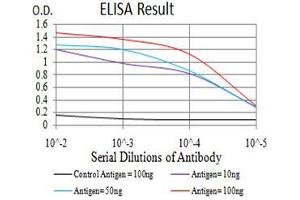 Black line: Control Antigen (100 ng), Purple line: Antigen(10 ng), Blue line: Antigen (50 ng), Red line: Antigen (100 ng), (ATG16L1 抗体  (AA 11-257))