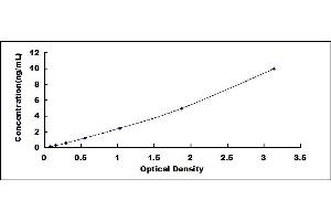 Typical standard curve (ENHO ELISA 试剂盒)