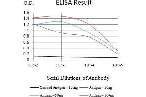 Black line: Control Antigen (100 ng),Purple line: Antigen (10 ng), Blue line: Antigen (50 ng), Red line:Antigen (100 ng) (PRAS40 抗体  (AA 92-276))