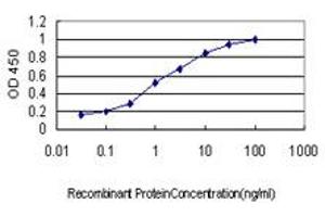Detection limit for recombinant GST tagged SURB7 is approximately 0. (MED21 抗体  (AA 1-144))