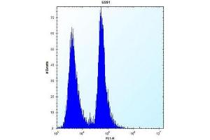 Flow cytometric analysis of U251 cells using SEL1L3 / KIAA0746 Antibody (N-term) Cat. (Sel1l3,kiaa0746 (AA 260-290), (N-Term) 抗体)