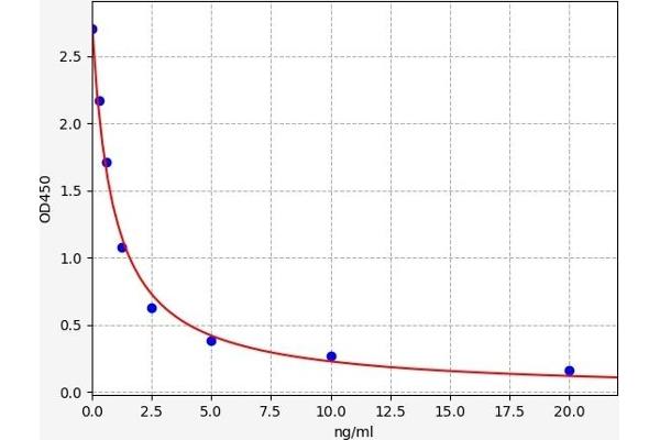 CHID1 ELISA 试剂盒