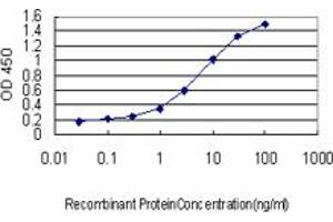 Detection limit for recombinant GST tagged WASF2 is approximately 0. (WASF2 抗体  (AA 73-172))