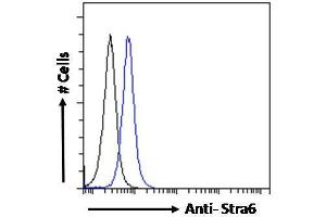 ABIN1019673 Flow cytometric analysis of paraformaldehyde fixed NIH3T3 cells (blue line), permeabilized with 0. (STRA6 抗体  (AA 187-199))