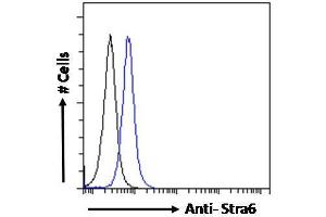 ABIN1019673 Flow cytometric analysis of paraformaldehyde fixed NIH3T3 cells (blue line), permeabilized with 0.