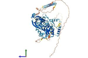 Protein Structure (PS) image for Chromosome 4 Open Reading Frame 14 (C4orf14) (AA 1-693) protein (His tag) (ABIN7561590)