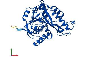 Protein Structure (PS) image for Mediator of Cell Motility 1 (MEMO1) (AA 1-297) protein (His tag) (ABIN7549364)